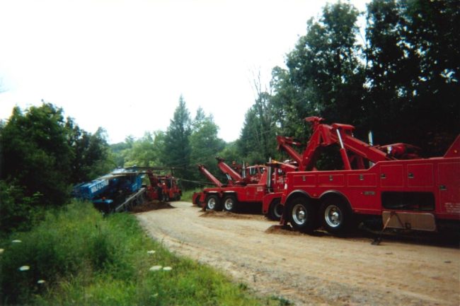 Crane-in-Swamp-aspect-ratio-960-640